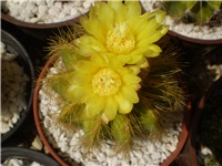 aad60887-Picture 6282.jpg